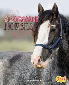 Clydesdale Horses - Diedrich, John