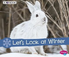 Let's Look at Winter - Schuette, Sarah L