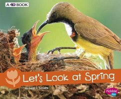 Let's Look at Spring - Schuette, Sarah L