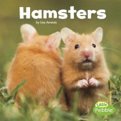 Hamsters - Amstutz, Lisa J.