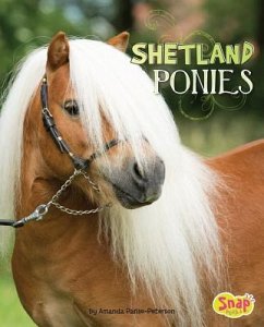 Shetland Ponies - Parise-Peterson, Amanda
