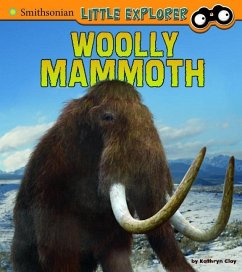 Woolly Mammoth - Clay, Kathryn