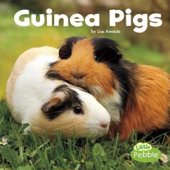 Guinea Pigs - Amstutz, Lisa J.