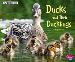 Ducks and Their Ducklings: A 4D Book - Hall, Margaret