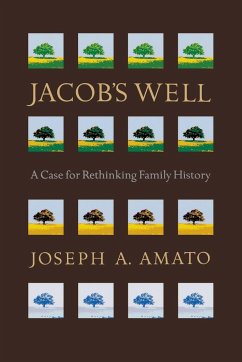 Jacob's Well - Amato, Joseph A.