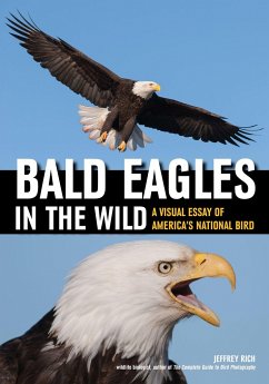 Bald Eagles in the Wild: A Visual Essay of America's National Bird - Rich, Jeffrey