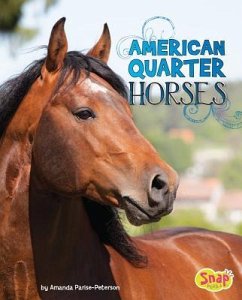 American Quarter Horses - Parise-Peterson, Amanda