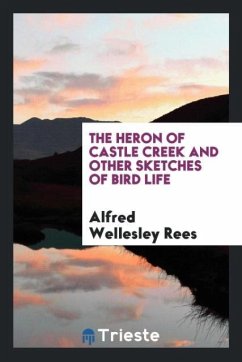 The heron of Castle Creek and other sketches of bird life - Rees, Alfred Wellesley