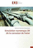 Simulation numérique 3D de la corrosion de l'acier