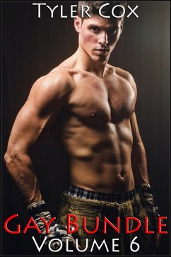 Cover Gay Bundle - Volume 6 (eBook, ePUB)