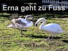 Erna geht zu Fuss (eBook, ePUB) - Bild 1
