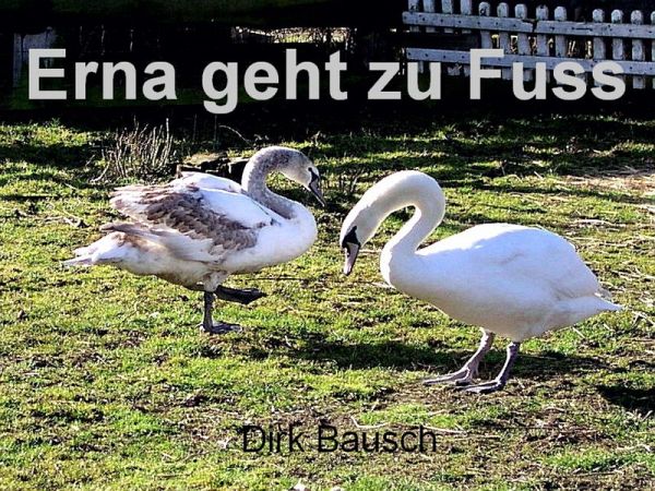 Erna geht zu Fuss (eBook, ePUB)