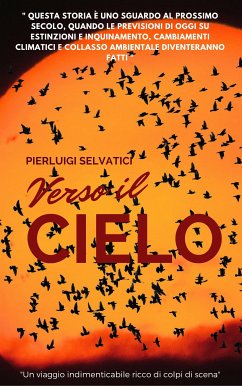 Verso il cielo (eBook, ePUB) - Selvatici, Pierluigi