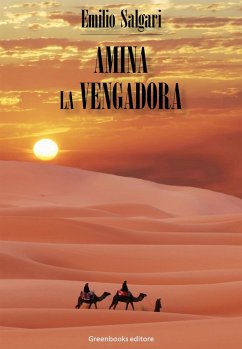Cover Amina la vengadora (eBook, ePUB)