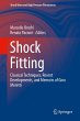 Shock Fitting - Bild 1