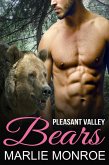 Pleasant Valley Bears (Pleasant Valley Shifters) (eBook, ePUB)