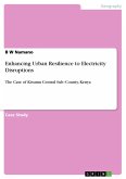 Enhancing Urban Resilience to Electricity Disruptions