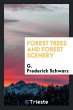 Forest trees and forest scenery - Bild 1