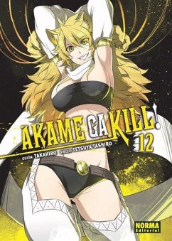 Cover Akame ga kill! 12