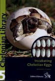 Incubating Chelonian Eggs