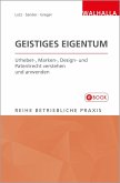 Geistiges Eigentum (eBook, PDF)