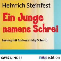 Ein Junge namens Schrei (MP3-Download) - Steinfest, Heinrich