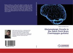 Glutamatergic Circuits in the Zebra Finch Brain (Taeniopygia guttata)