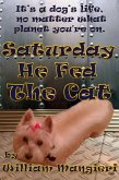 Saturday He Fed the Cat (eBook, ePUB)