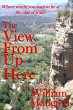 The View from Up Here (eBook, ePUB) - Bild 1