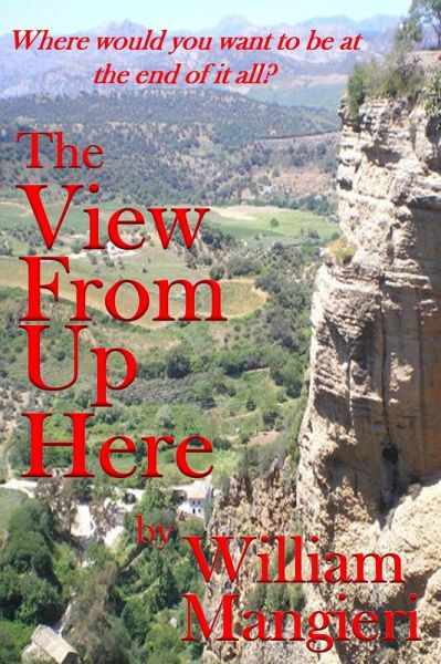 The View from Up Here (eBook, ePUB) The View from Up Here (eBook, ePUB)
