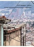 Città Informale _ Bogotà (eBook, ePUB)