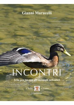 Incontri. A tu per tu con gli animali selvatici (eBook, PDF) - Marucelli, Gianni