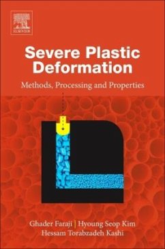 Severe Plastic Deformation - Faraji, Ghader;Kim, H.S.;Torabzadeh Kashi, Hessam