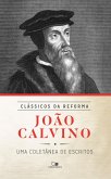 João Calvino (eBook, ePUB)