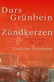 Zündkerzen (eBook, ePUB)