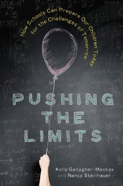 Pushing the Limits (eBook, ePUB) - Gallagher-Mackay, Kelly; Steinhauer, Nancy