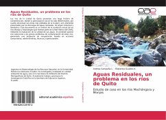 Aguas Residuales, un problema en los ríos de Quito - Campaña L., Andrea;Gualoto K., Ekaterina