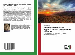 Analisi e Valutazione del Segretariato Sociale nel Comune di Carrara - Viligiardi, Erika