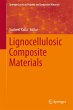 Lignocellulosic Composite Materials - Bild 1