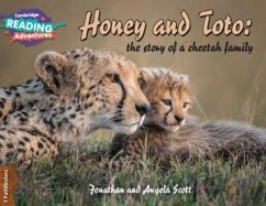 Cambridge Reading Adventures Honey and Toto: The Story of a Cheetah Family 1 Pathfinders - Scott, Jonathan and Angela