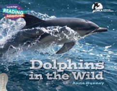 Cambridge Reading Adventures Dolphins in the Wild 3 Explorers - Bunney, Anna