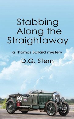 Stabbing Along the Straightaway - Stern, D. G.