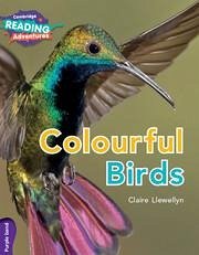 Cambridge Reading Adventures Colourful Birds Purple Band - Llewellyn, Claire