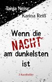 Wenn die Nacht am dunkelsten ist (eBook, ePUB)