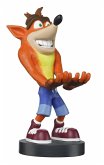 Cable Guy - Crash Bandicoot