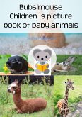Bubsimouse Children´s picture book of baby animals (eBook, ePUB)