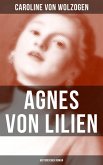 Agnes von Lilien (Historischer Roman) (eBook, ePUB)