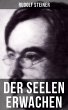 Der Seelen Erwachen (eBook, ePUB) - Bild 1
