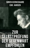 Zur Selbstprüfung der Gegenwart empfohlen (eBook, ePUB)