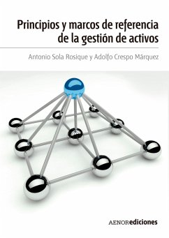 Principios y marcos de referencia de la gestión de activos (eBook, ePUB) - Sola Rosique, Antonio; Crespo Márquez, Adolfo